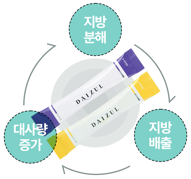 배출 다이어트 - 지방분해, 대사량 증가, 지방배출