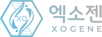 엑소젠
