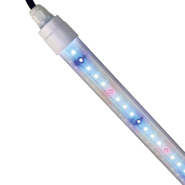 <h5><span style="color: rgb(255, 255, 255);"><strong>고객 맞춤형 TMS 시스템으로</strong></span> 	<br><span style="font-size: 18px;">운송 업무를 더 쉽고, 더 빠르게, 더 투명하게.</span></h5>