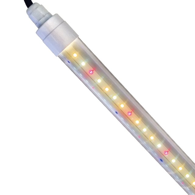 <h5><span style="color: rgb(255, 255, 255);"><strong>고객 맞춤형 TMS 시스템으로</strong></span> 	<br><span style="font-size: 18px;">운송 업무를 더 쉽고, 더 빠르게, 더 투명하게.</span></h5>