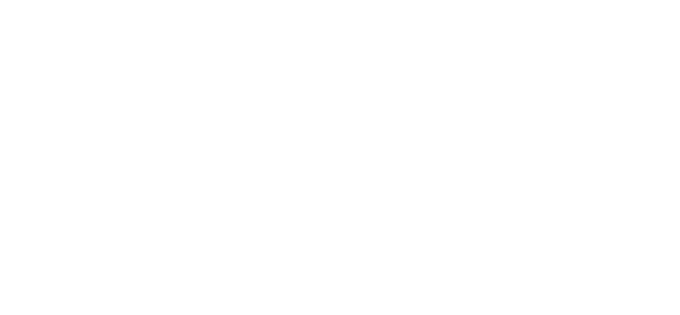 MetaRich