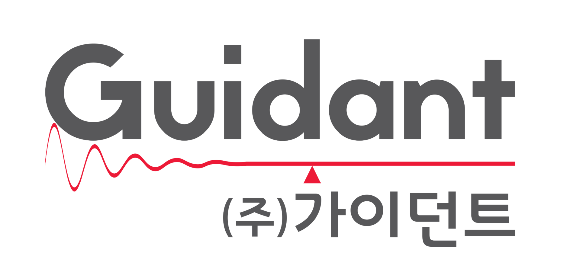 <h6>Guidant</h6><br>