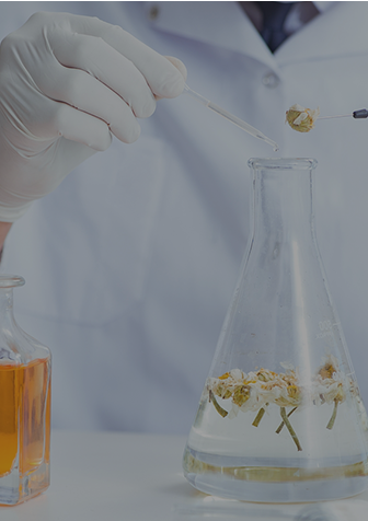 <div class="tb-text-group"><p class="t-text">검증된 전문성</p><p class="b-text">조향사 자격증, 각 종 특허, 인증 등으로 믿을 수 있는 라비주얼의 전문성</p></div>