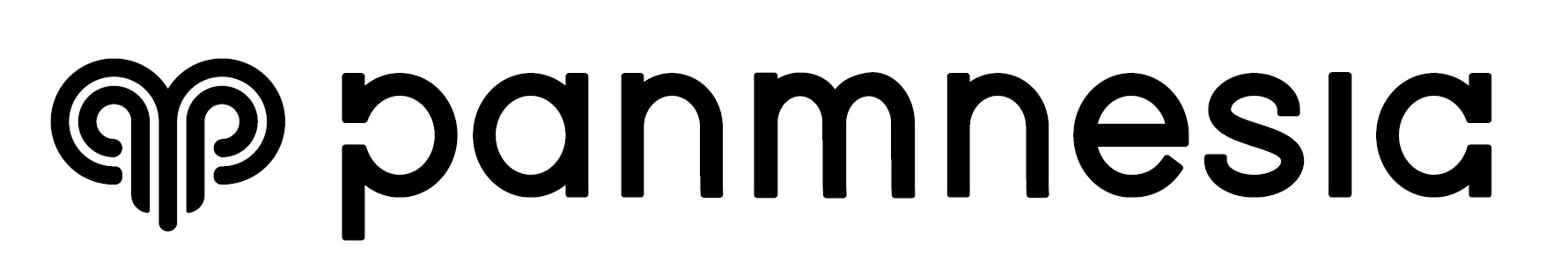 <h6>Panmnesia</h6><br>