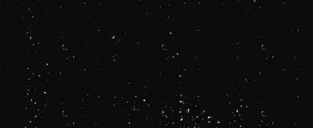 <div class="main1-card"> <div class="main1-card-top"> <div class="main1-title">CONCERT Reservation</div> <div class="main1-text" style="font-family: 'Pretendard'!important;">Book Tickets Now</div> </div> <div class="main1-card-bottom"><img src="https://cdn.imweb.me/thumbnail/20250910/d74ba44290195.png"></div> </div>