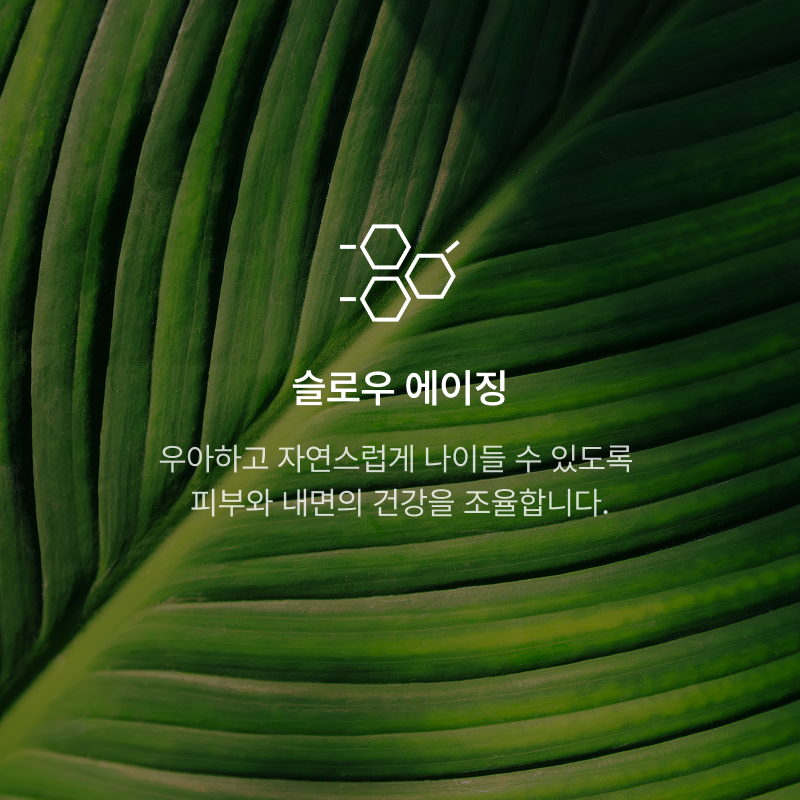 더모어피부과의원
