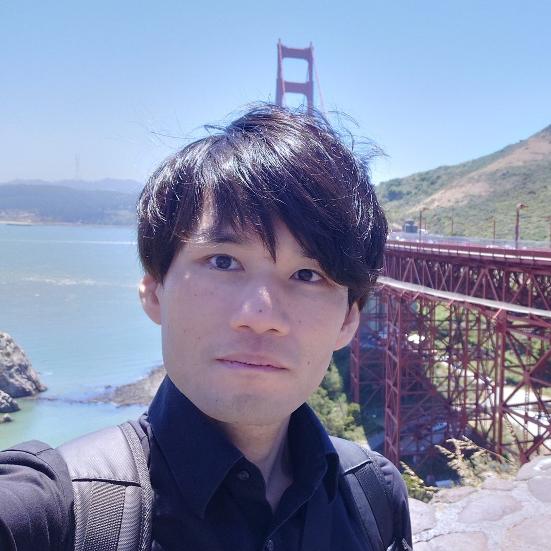 <h6>Hiromitsu Awano</h6><br><strong>Kyoto University</strong><br>Japan