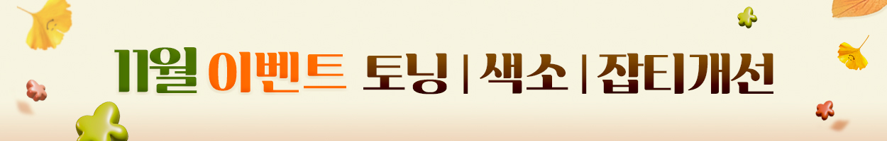 <br><br>11.01~11.30 l 인천점 방문고객대상 l VAT 별도
