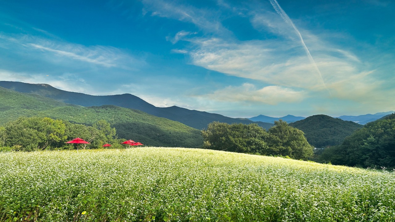 알프스구르뫼 치유농장