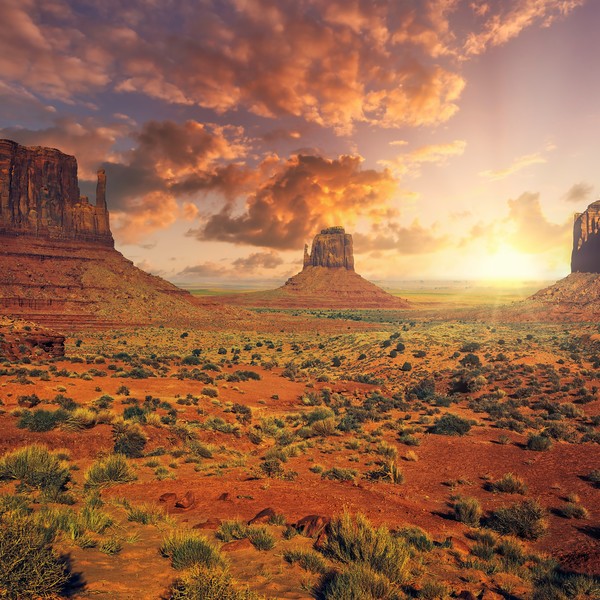 예약 상품 이미지