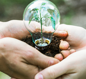 <div style="width:100%; padding:10px 20px;background:#fff;text-align:left;"><p style="font-weight:800;font-size:20px;"> 환경적 가치:</p><p style="">지역사회, 공원, <br/>자연 환경을 깨끗하게 유지</p></div>