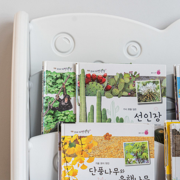 예약 상품 이미지