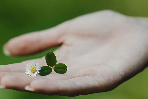 <div style="width:100%; padding:10px;background:#fff;text-align:center;"><p style="color:#018e1c;font-weight:800;font-size:28px;">생태계 보호</p><h5 style="">야생동물 서식지 보호와<br/>생물다양성 증진 활동을 펼칩니다</h5></div>