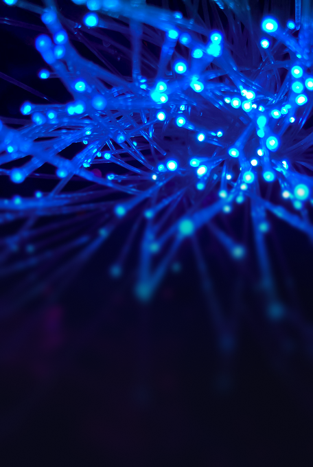 Intellectual Property<br>지식재산권