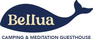 벨루아 캠핑장 예약 사이트