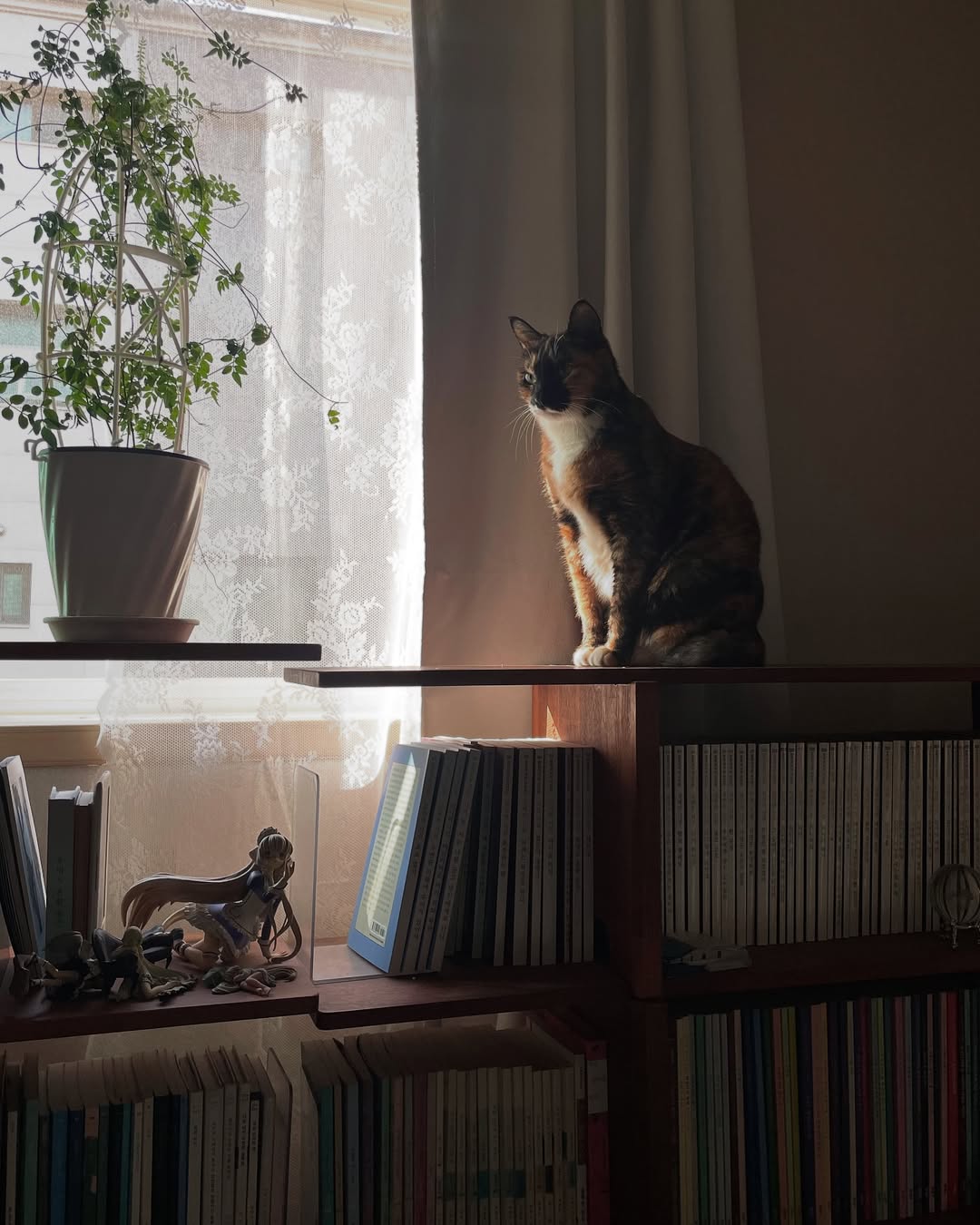 HOME [평온한 ] HOME<br><br>