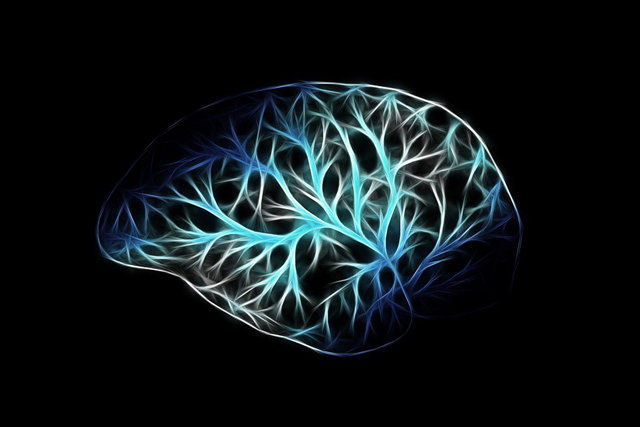뇌 신경