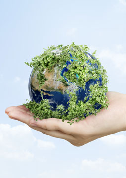 Main Activities <br> <h5>주요활동</h5>