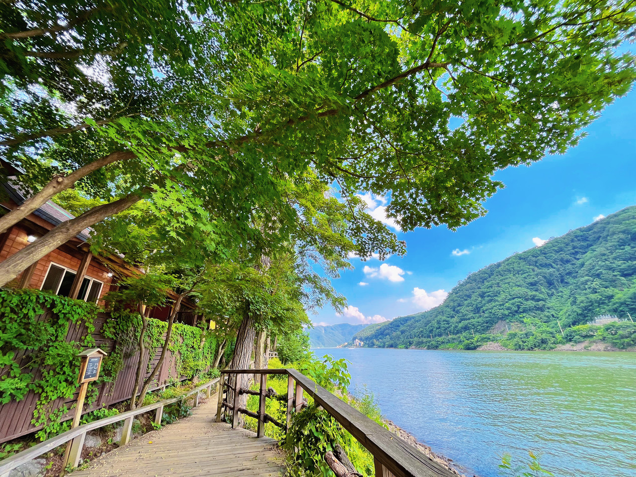 남이섬 별장마을 강변오솔길(Nami Island Bungalow Row Riverside Path) 중앙광장에서 동쪽 강변으로 난 산딸나무길을 지나면   갈대숲길이 이어집니다. 가을이면 바람에 넘실대는 갈대의 물결이 출사 나온 여행자와 연인들의 가슴을 설레게 합니다. 별장마을 강변오솔길은 가을 단풍 아래를 함께 걷는 연인들이  더욱 가까워지는 산책길로 알려져 있습니다.