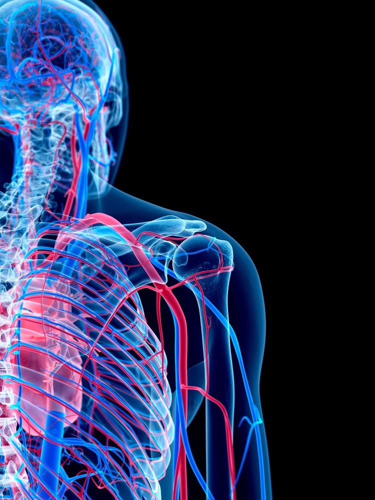 <div style="text-align: center;"><span style="display: inline-flex; align-items: center; justify-content: center; background-color: rgb(5, 59, 92); color: rgb(255, 255, 255); padding: 14px 0px; border-radius: 999px; font-size: 20px; width: 100%; font-weight: 600; font-family: 'Pretendard'; letter-spacing: -0.5px; line-height: 1;"><strong>다리·허리·혈관·두뇌까지 보는 통합 진료</strong></span></div>