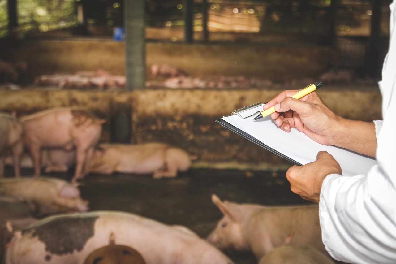 축사 위생 진단 및 컨설팅 – 가축 질병 예방, 현장 점검, 방역 솔루션 제공
