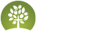 올리브교회