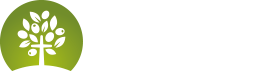 올리브교회