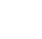 그레이시 주짓수 강남