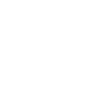 그레이시 주짓수 강남