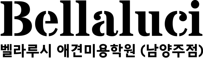 벨라루시애견미용학원남양주점