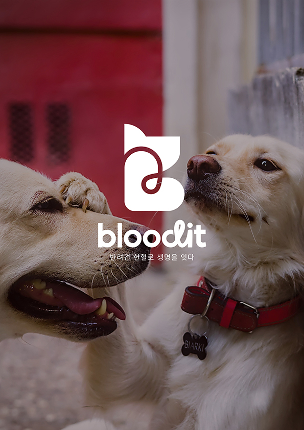 <strong style="display: block; text-align: left; color: rgb(0, 0, 0);">bloodit(블러딧)</strong>
