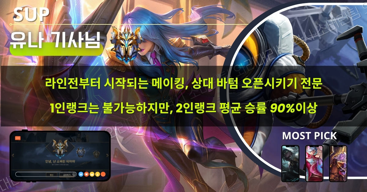 와일드리프트 대리기사 : 서폿 라인2