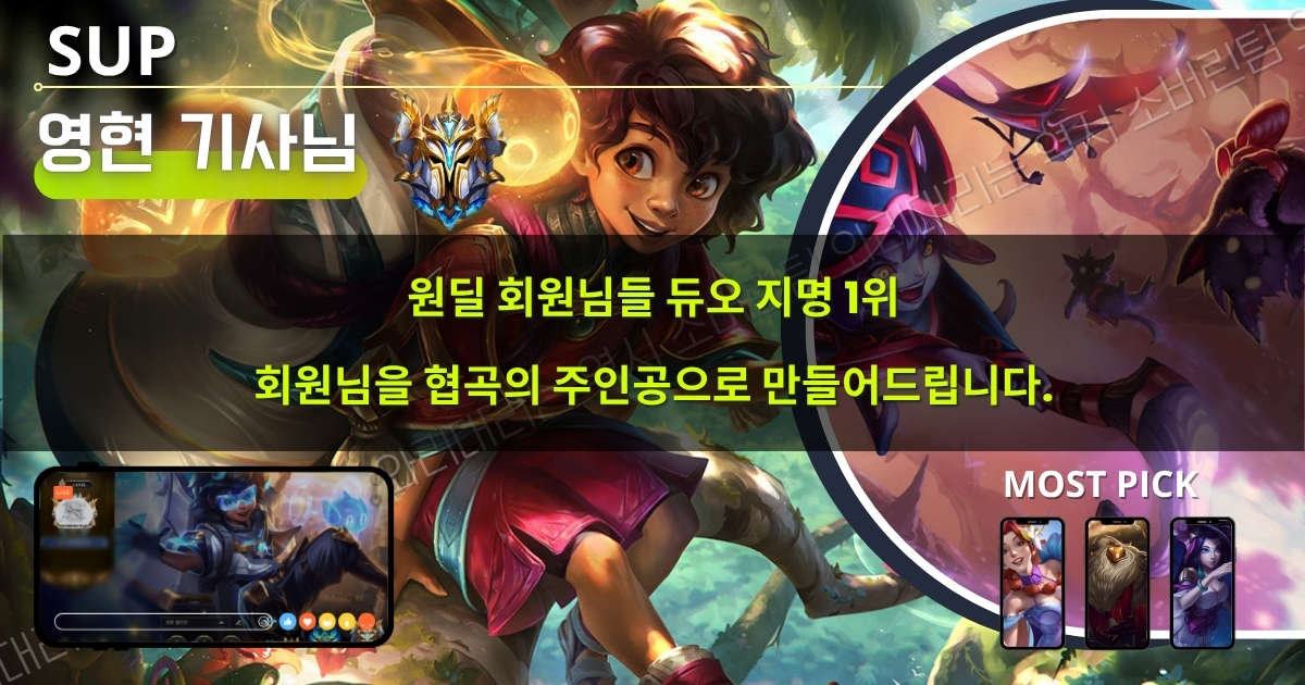 와일드리프트 대리기사 : 서폿 라인