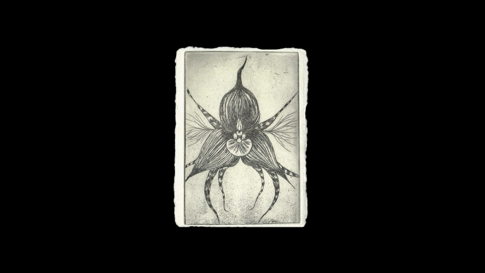 Open your XXX, 2025, 카디페이퍼에 에칭(Etching on Khadi paper), 15.5 × 11cm