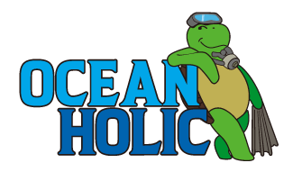 오션홀릭