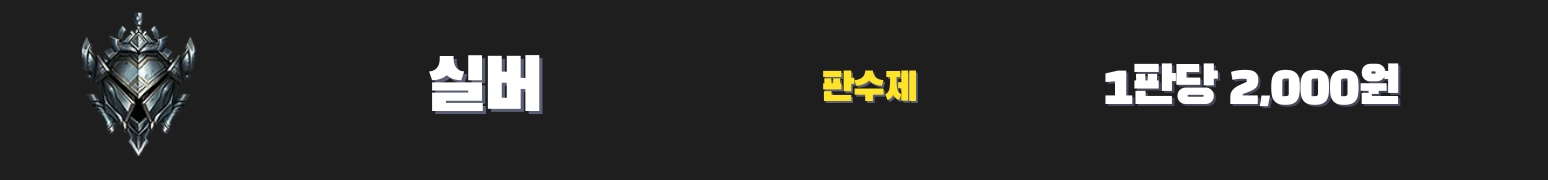 와일드리프트대리듀오 - 실버