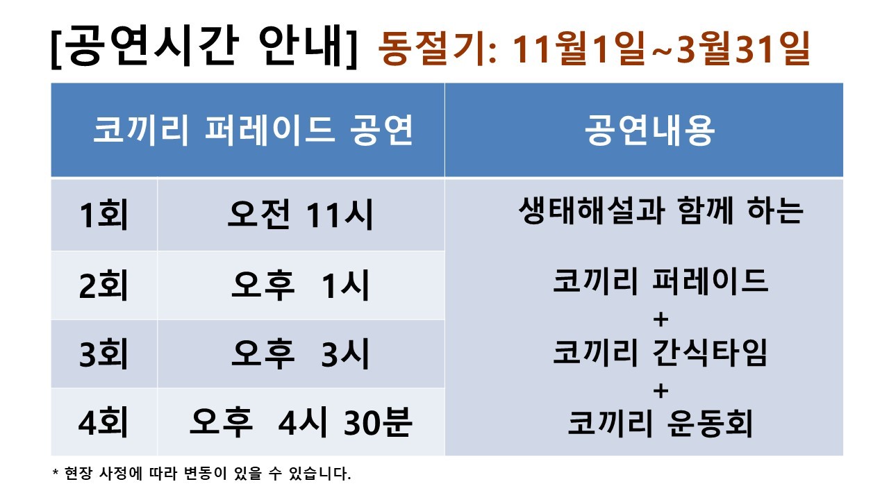 점보빌리지 사진 3
