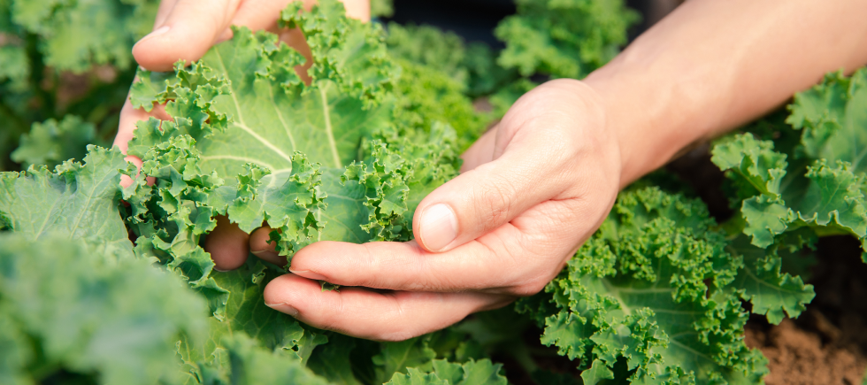 회사매각,SI기업매각,기업금융,기업매각,법인매각,모멘스투자자문