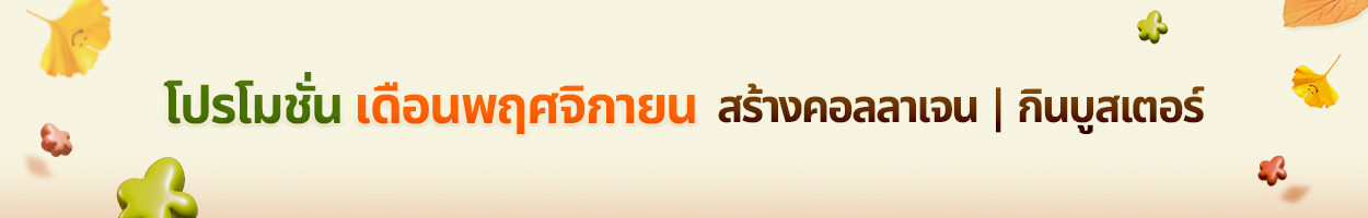 ยังไม่รวม VAT