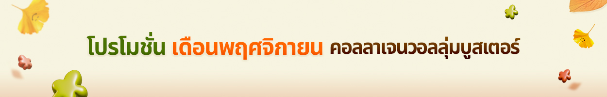 ยังไม่รวม VAT