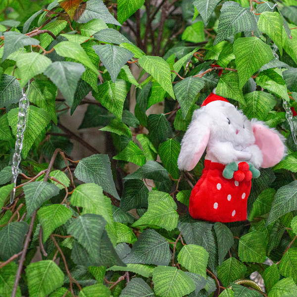 예약 상품 이미지