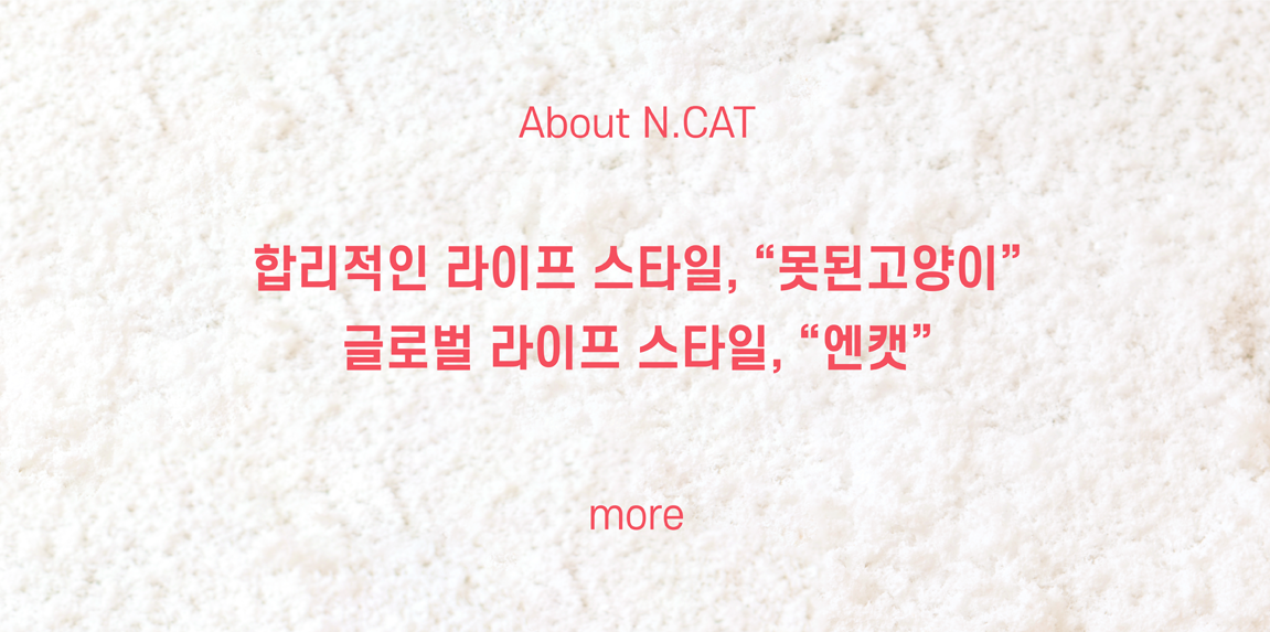 대한미국을 대표하는 패션 액세서리 브랜드 N.CAT