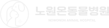 노원온동물병원