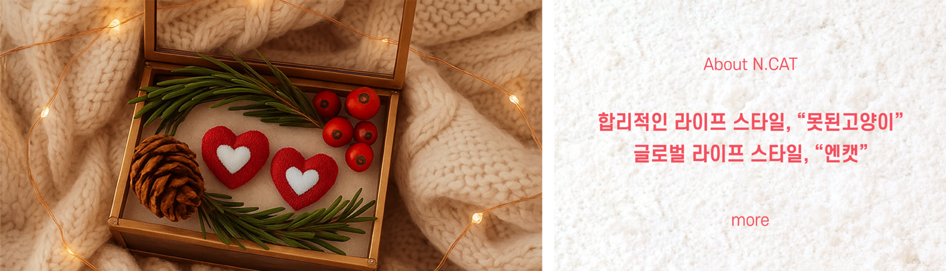 대한미국을 대표하는 패션 액세서리 브랜드 N.CAT