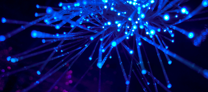 <span style="color:#fff; font-size:16px; font-weight:600; text-shadow:0 2px 4px rgba(0,0,0,0.25);">   Intellectual Property <br> 지식재산권 </span>