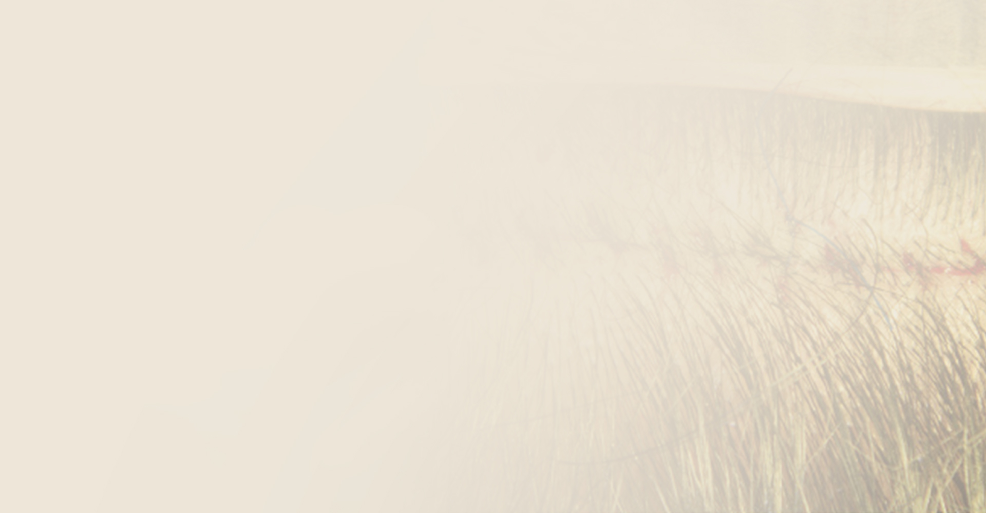 mobile background