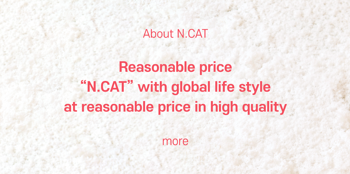 The No1 fashion accessory brand in KOREA N.CAT