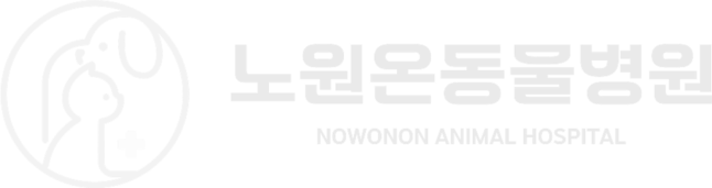 노원온동물병원