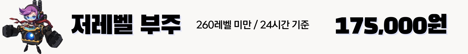 메이플부주 가격표 :24시간당 175,000원
