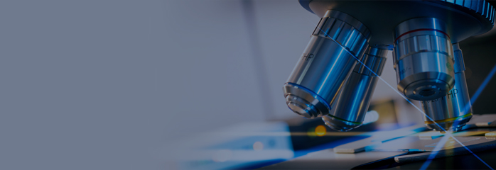 <table class="noBorder" style="width: 100%;">   <tbody>     <tr>       <td style="width: 6.9325%;"><br></td>       <td style="width: 72.3358%; vertical-align: middle;">         <strong><span style="font-size: 36px; font-weight: 800;">회사소개</span></strong>       </td>       <td style="width: 15.6354%; vertical-align: middle;">         <div style="text-align: right;">           <a href="https://biocs.co.kr/89" rel="nofollow"              style="display:inline-block; padding:8px 20px; border:1px solid #ffffff; color:#ffffff; background-color:transparent; text-decoration:none; font-weight:600; box-sizing:border-box; height:40px; line-height:24px; text-align:center;"              onmouseover="this.style.backgroundColor='#ffffff'; this.style.color='#2b9139'; this.style.borderColor='#ffffff';"              onmouseout="this.style.backgroundColor='transparent'; this.style.color='#ffffff'; this.style.borderColor='#ffffff';">              VIEW +           </a>         </div>       </td>       <td style="width: 4.9854%;"><br></td>     </tr>     <tr>       <td style="width: 6.9325%;"><br></td>       <td style="width: 72.3358%;">         <br><br>         <span style="font-size: 18px; line-height: 1.5;">          바이옥스는 바이오 제약용 소재<br>           전문 기업입니다         </span>       </td>       <td style="width: 15.6354%;"><br></td>       <td style="width: 4.9854%;"><br></td>     </tr>   </tbody> </table>